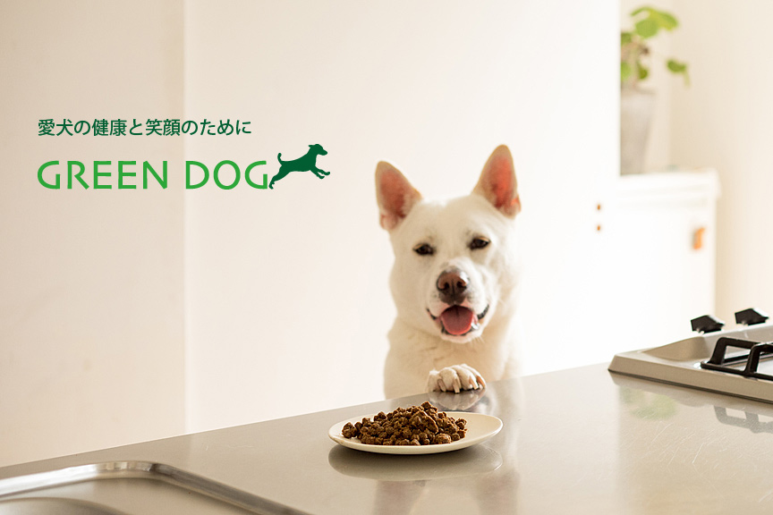 GREEN DOG メイン画像01