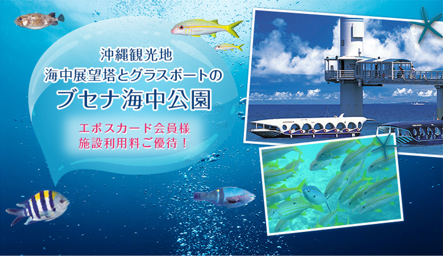 ブセナ海中公園 メイン画像