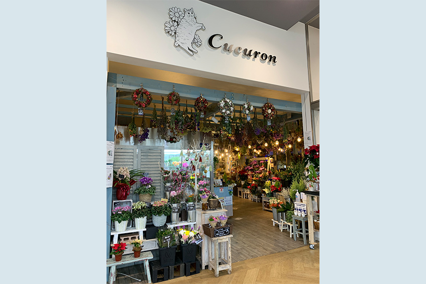 Cucuron メイン画像2510-01