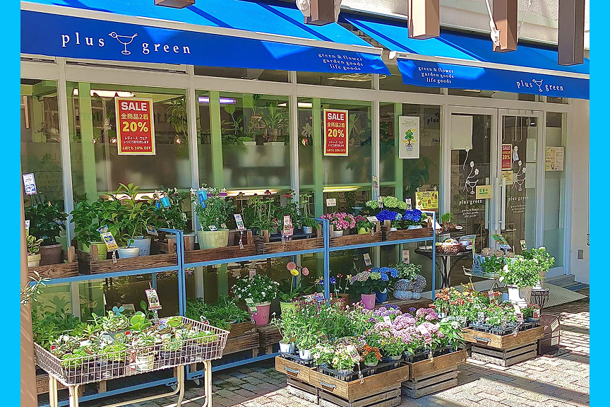 プラスグリーン　メイン画像１