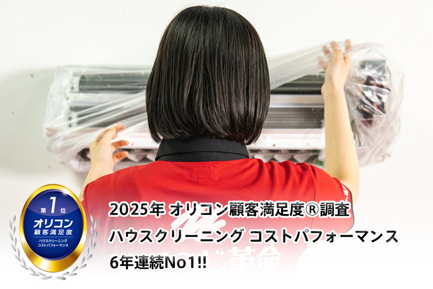 おそうじ革命　メイン画像