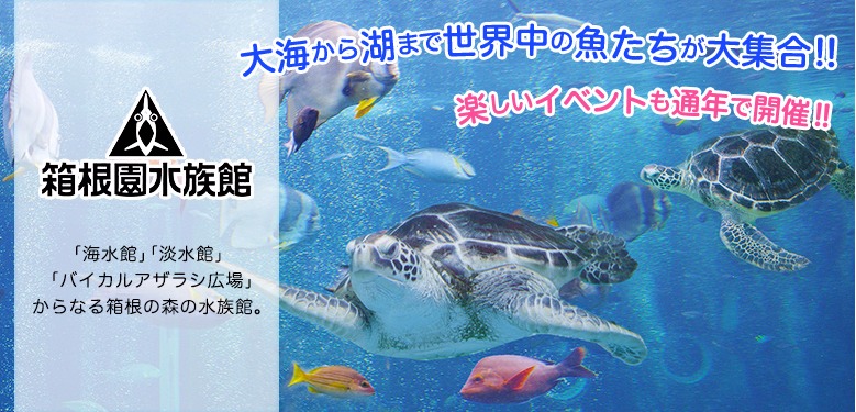 箱根園水族館