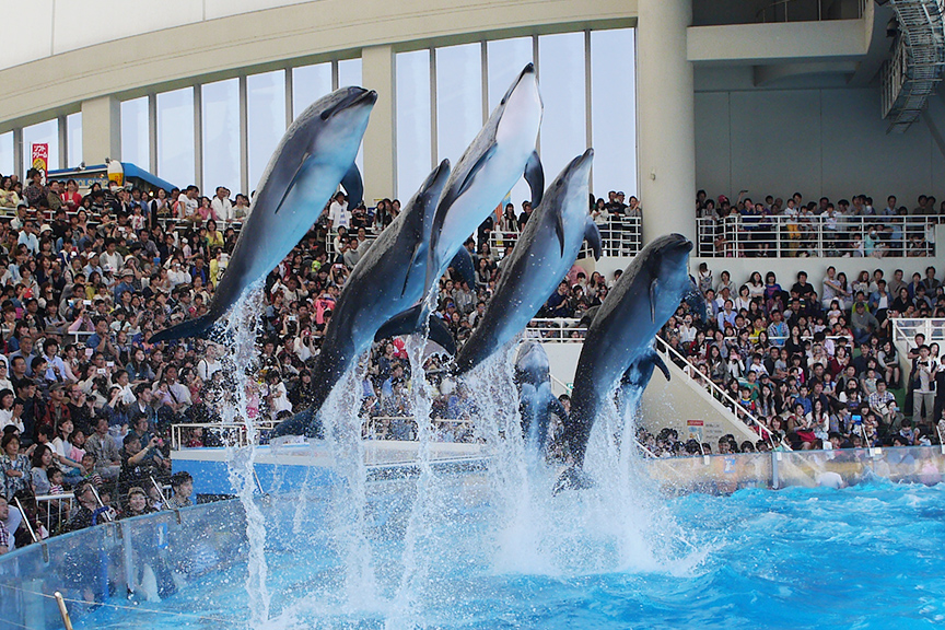 水族館 マリンワールド 海の中道