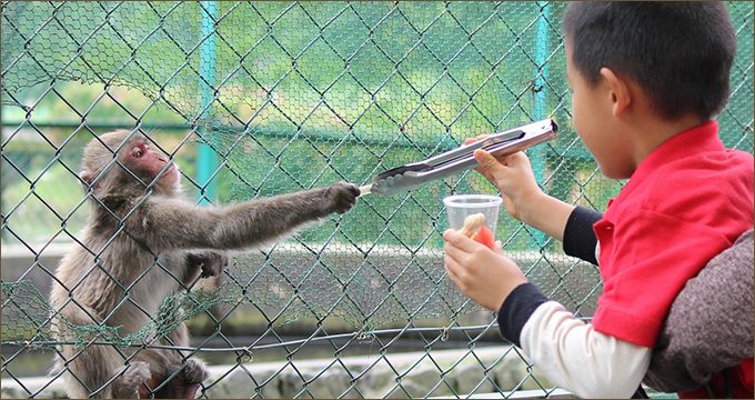 阿蘇猿まわし劇場