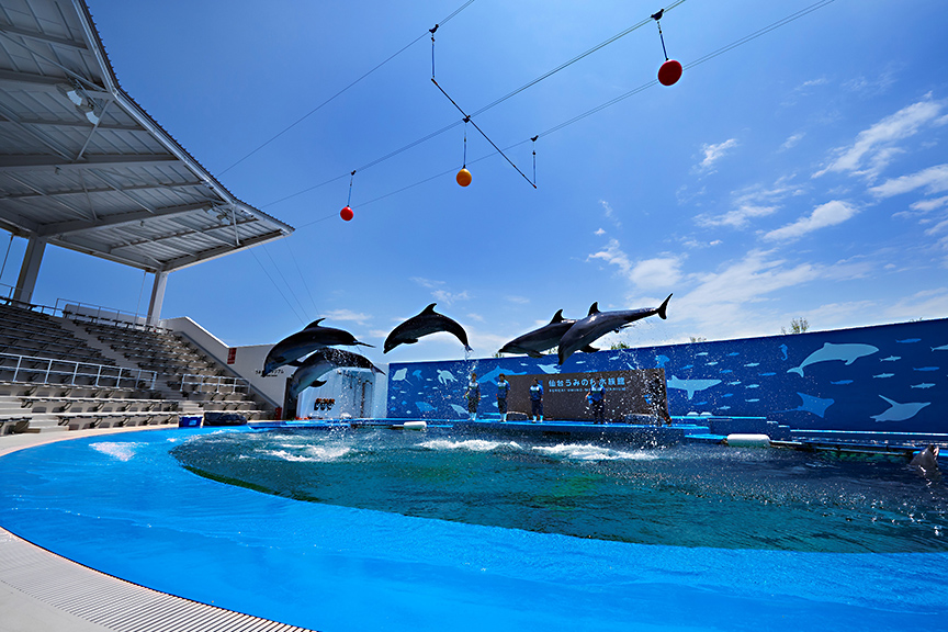 仙台うみの杜水族館のご優待 エポトクプラザ