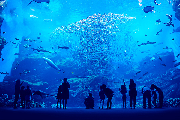 仙台うみの杜水族館　img