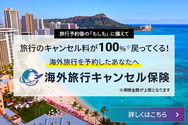 海外旅行を予約したあなたへ
  