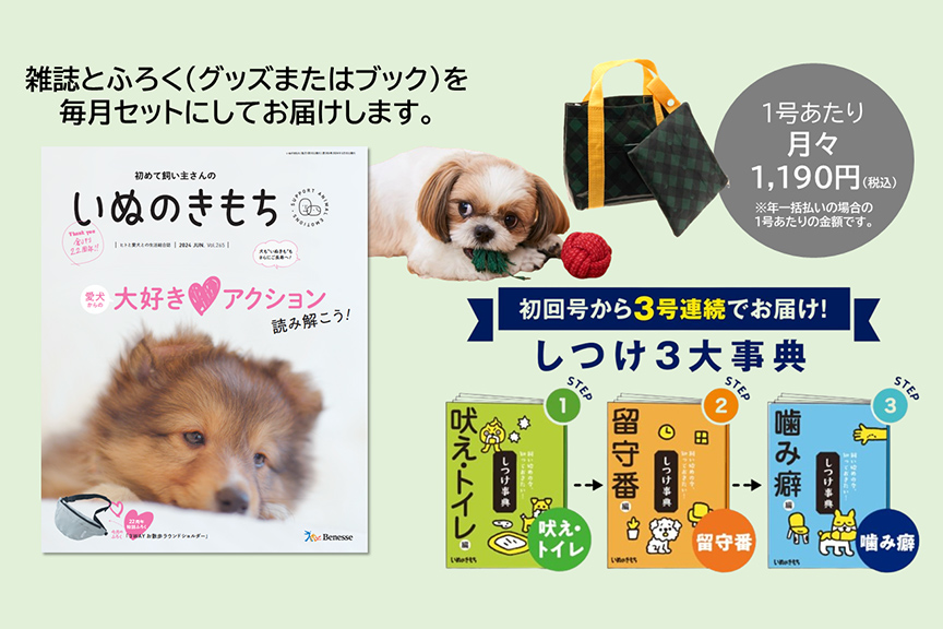 いぬのきもち