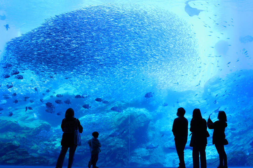 仙台うみの杜水族館