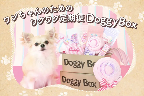 Doggy Box