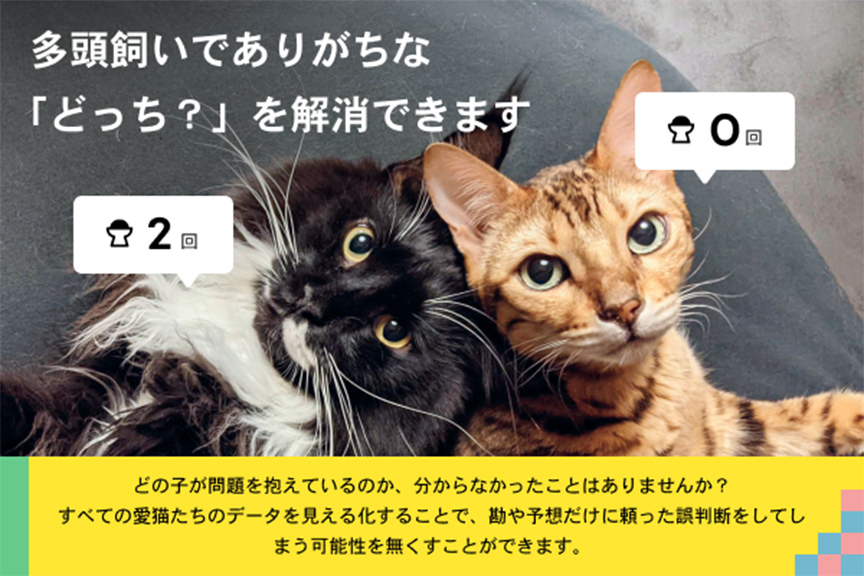Catlogシリーズ メイン画像03