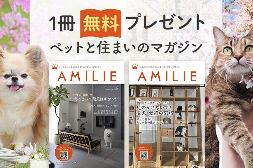 AMILIE