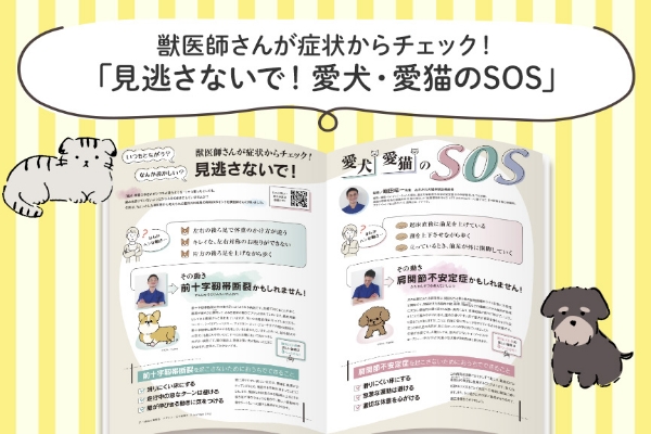 AMILIE　おすすめ情報01