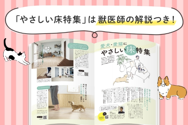 AMILIE　おすすめ情報02