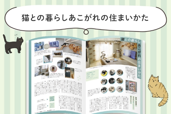 AMILIE　おすすめ情報03