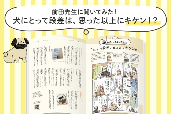 AMILIE　おすすめ情報05