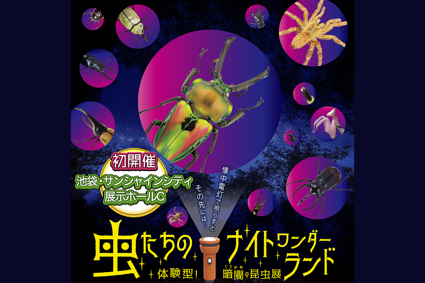 虫たちのナイトワンダーランド　体験型！暗闇の昆虫展