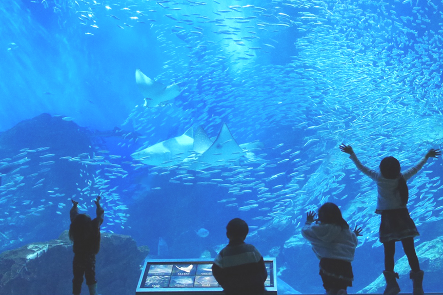 マリンワールド 海の中道2507-01