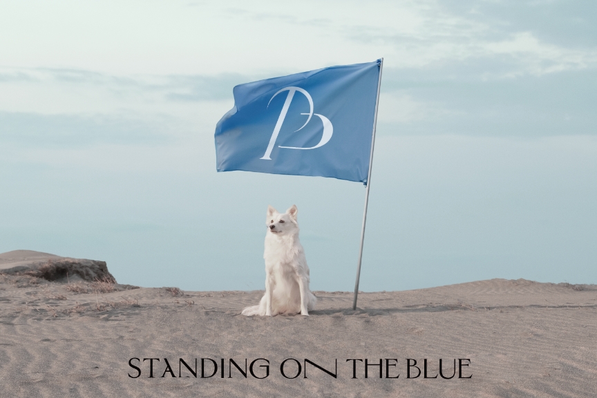 STANDING ON THE BLUE