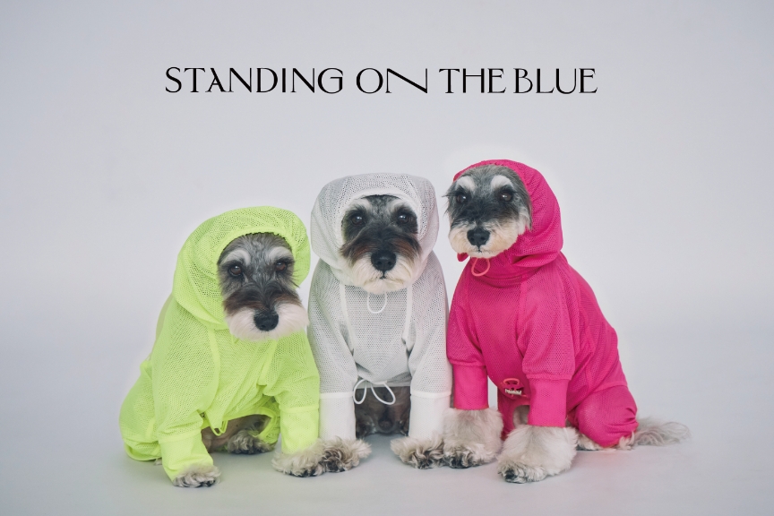 STANDING ON THE BLUE　メイン画像03