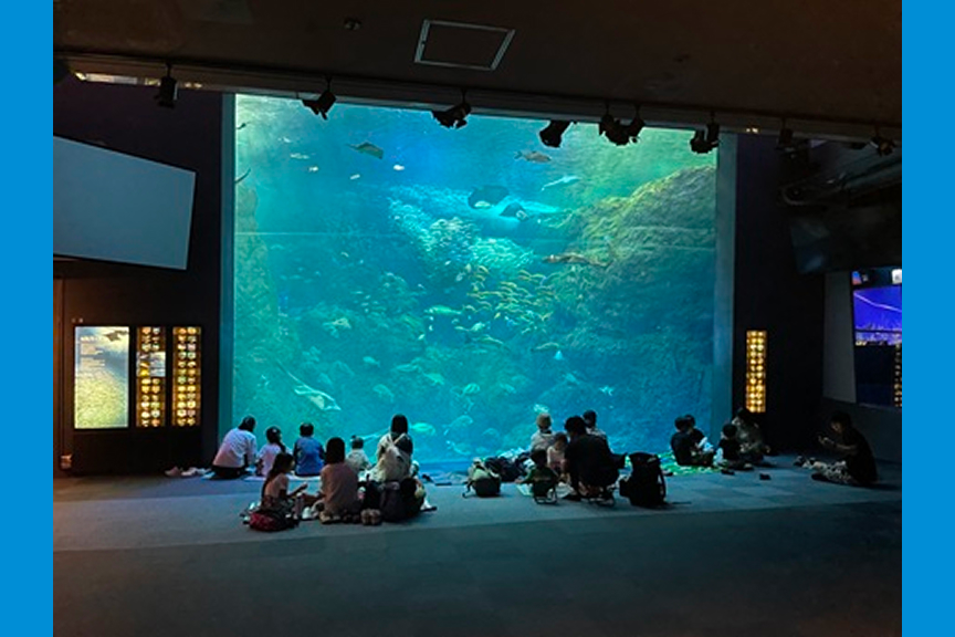 新江ノ島水族館『えのすいナイトピクニック』