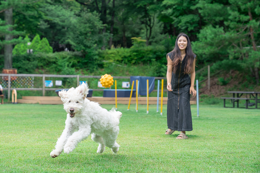with Dogs  ドッグパーク那須　フォレストヒルズ　メイン画像01