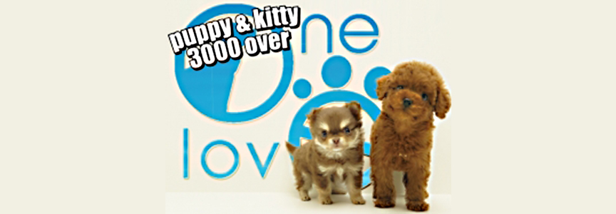 ワンラブ　ユニモちはら台2509