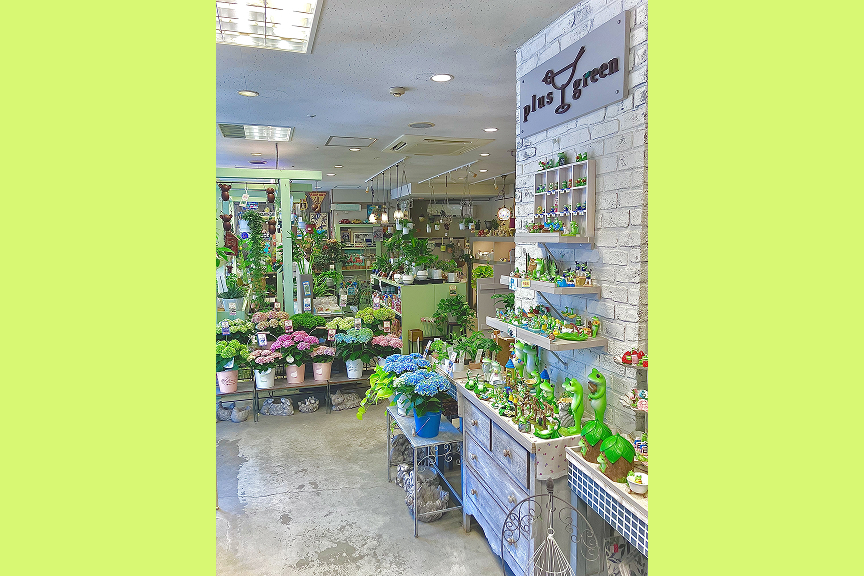 プラスグリーン　メイン画像２