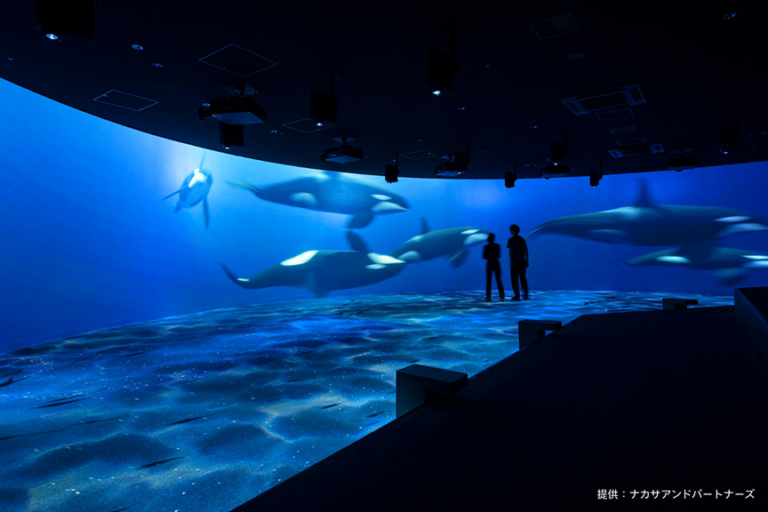 AOAO メイン画像　2枚目