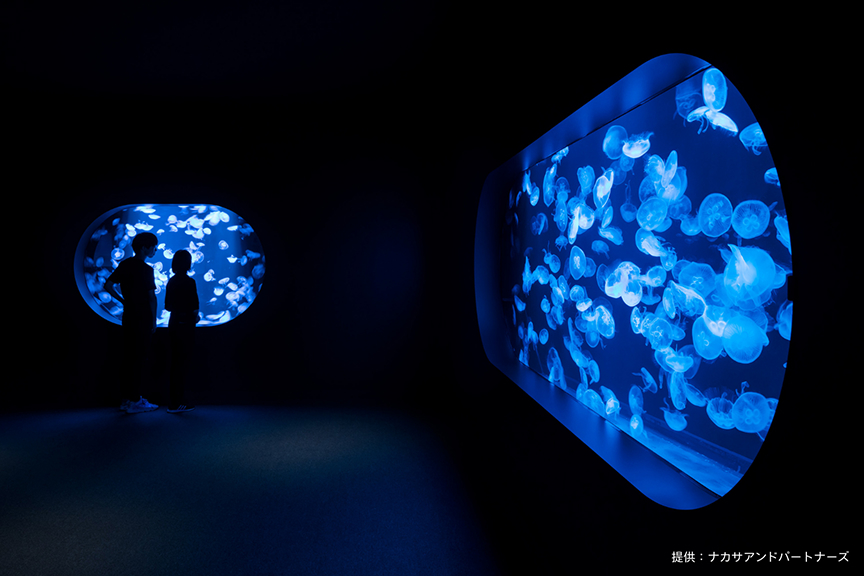 AOAO メイン画像　4枚目