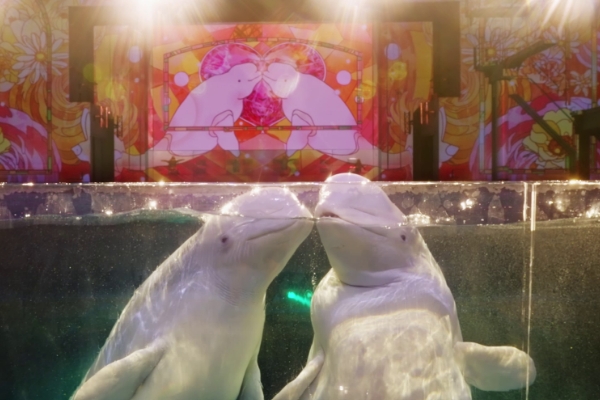 横浜・八景島シーパラダイス