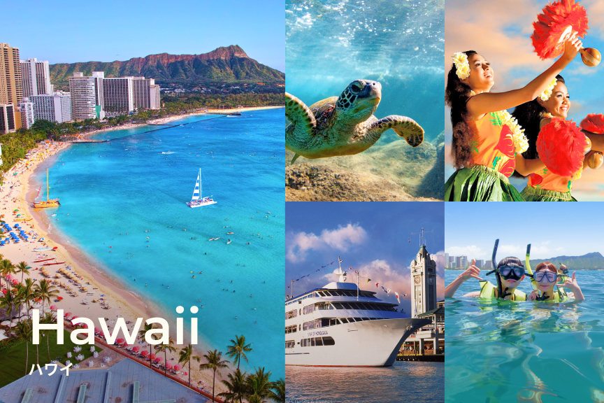 ベルトラ海外　おすすめ情報2602　ハワイ