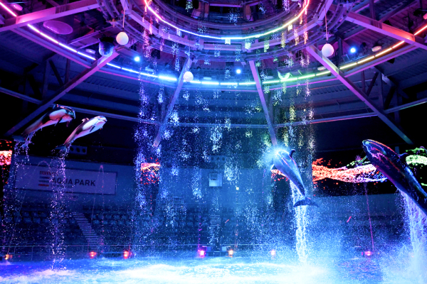 マクセル アクアパーク品川　優待画像2604