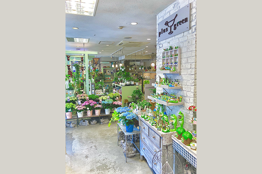 プラスグリーン　メイン画像2