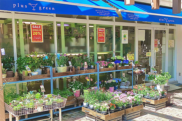 プラスグリーン（つかしん）優待画像