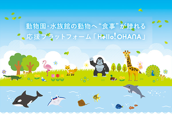 OHANA STORE 優待画像