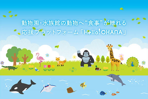 OHANA STORE 優待画像2605