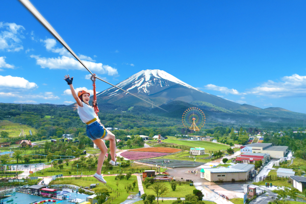 おすすめ情報　フジスカイアタック