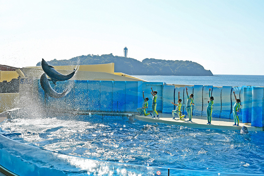 新江ノ島水族館
