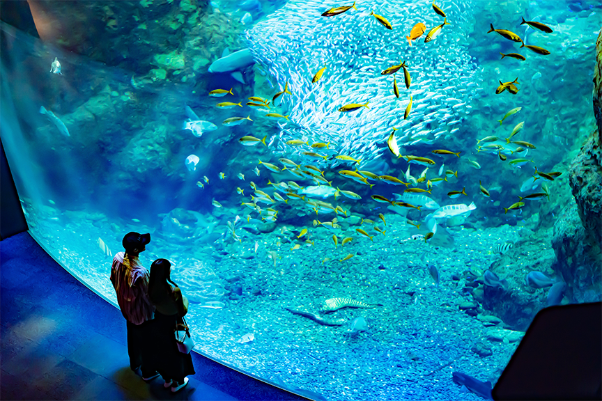新江ノ島水族館　メイン画像2608-02