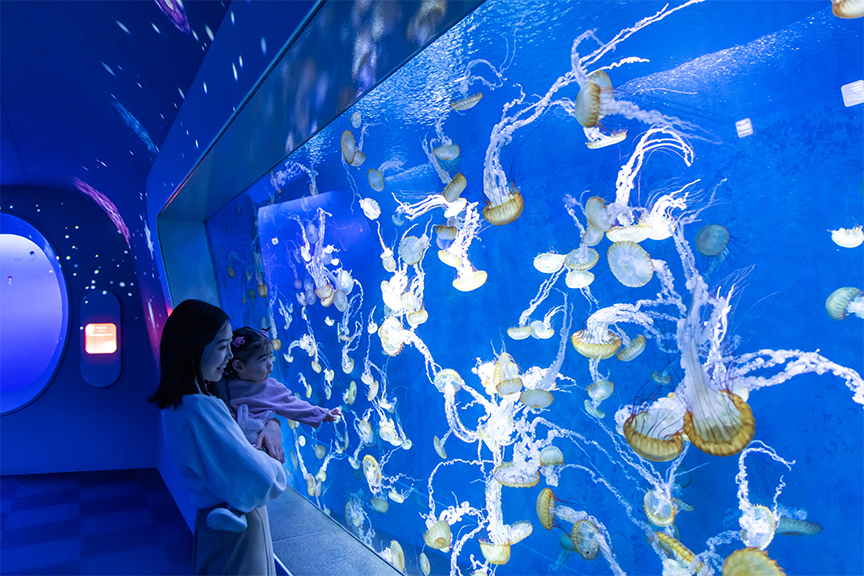 新江ノ島水族館　メイン画像2608-03