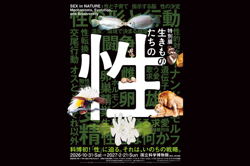 特別展「生きものたちの性」