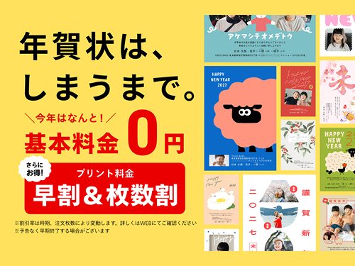 しまうまプリント | 2610