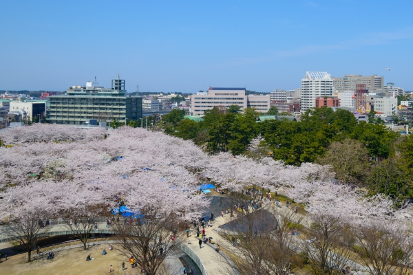 白山公園