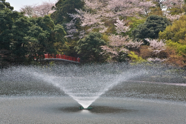 高岡古城公園