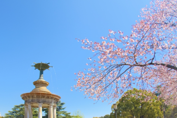 鶴舞公園