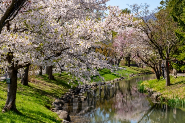 中島公園