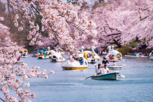 上野恩賜公園