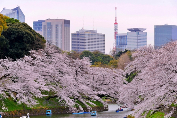 千鳥ヶ淵公園