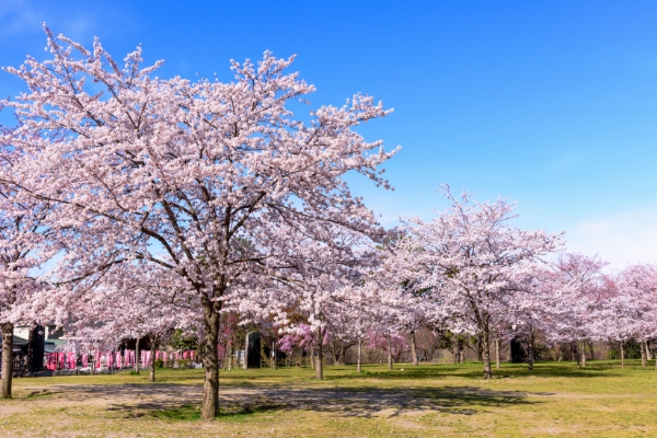 西公園